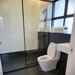 Holland Rise (D10), Apartment #625043751